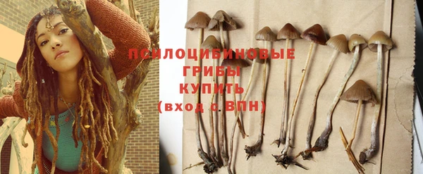 бошки Алзамай
